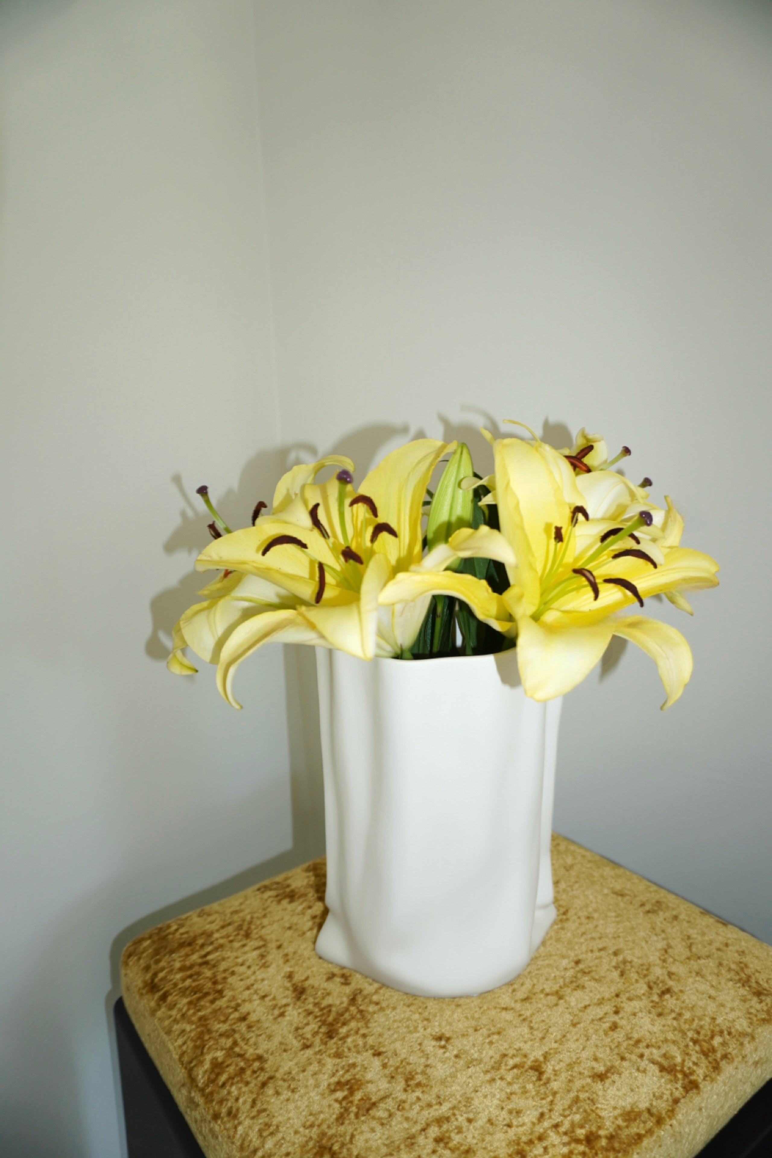 Verdon Decorative Vase | Modern Minimalist Home Accent