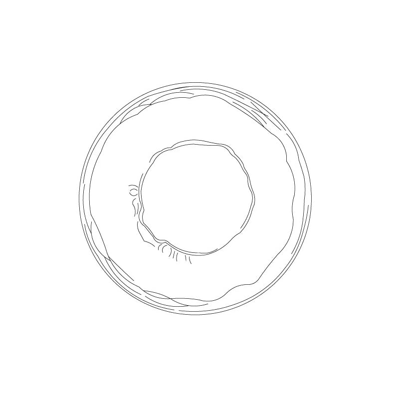 Rilun Wall Light | Modern Round Ripple Glass Minimalist Design