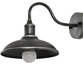 Tauren Outdoor Wall Light | Industrial Bowl-Shaped Iron Design